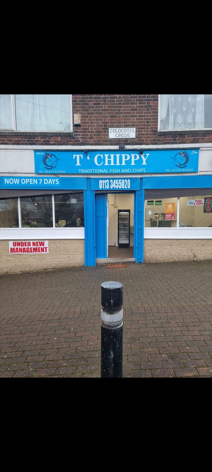 T chippy